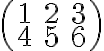  \left( \begin{array}{ccc} 1 & 2 & 3 \\ 4 & 5 & 6 \end{array} \right)