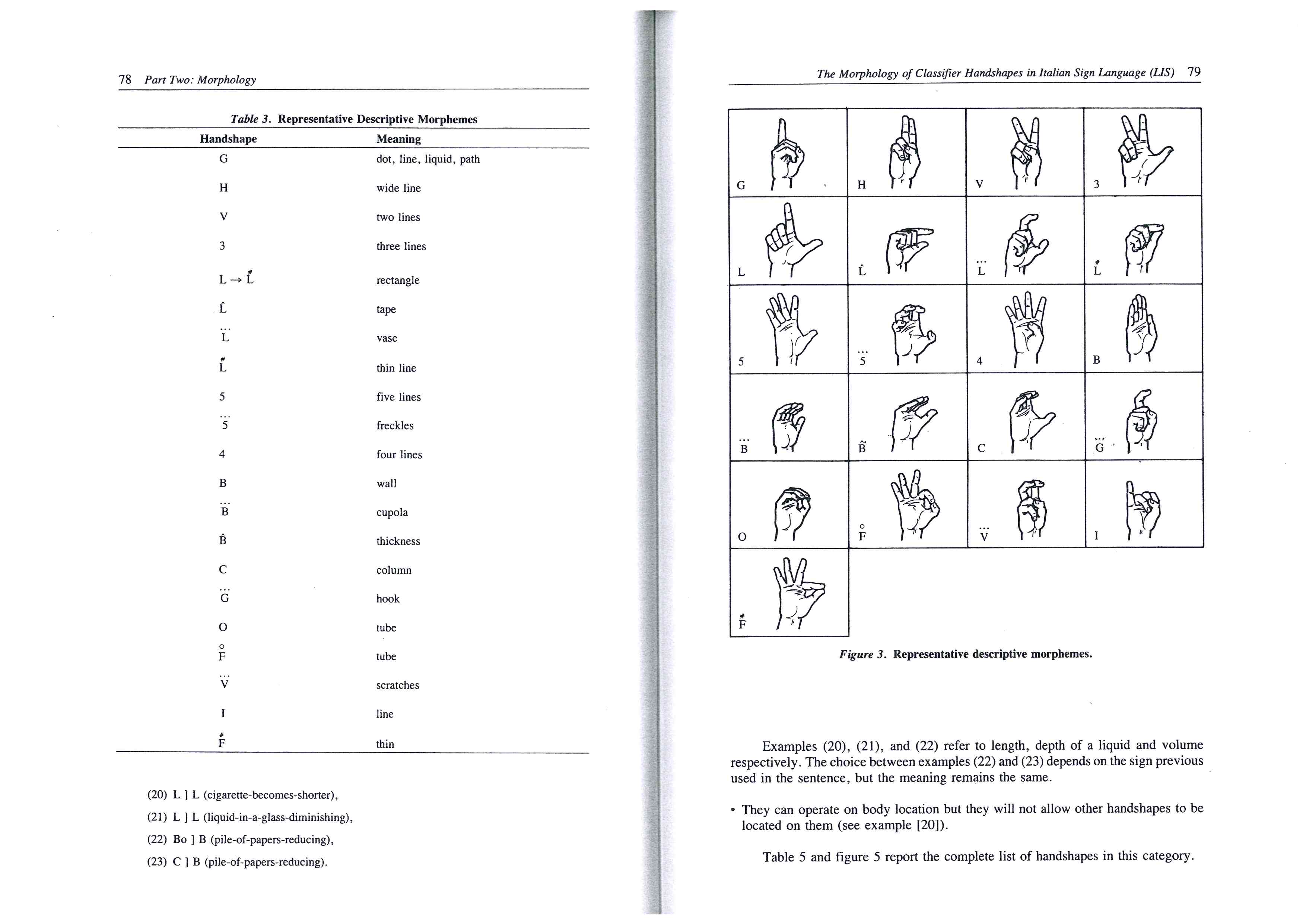 Allegato sign language research6.jpg