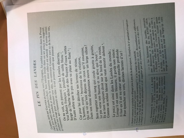 Allegato IMG_9791.jpg