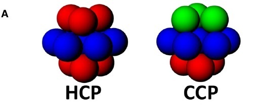 hcp-ccp