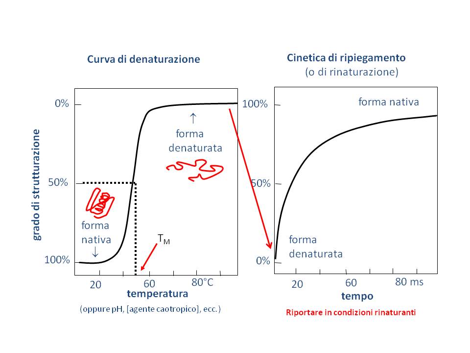 denaturazione